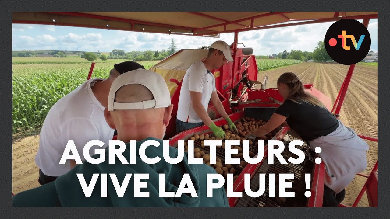 Miniature du reportage