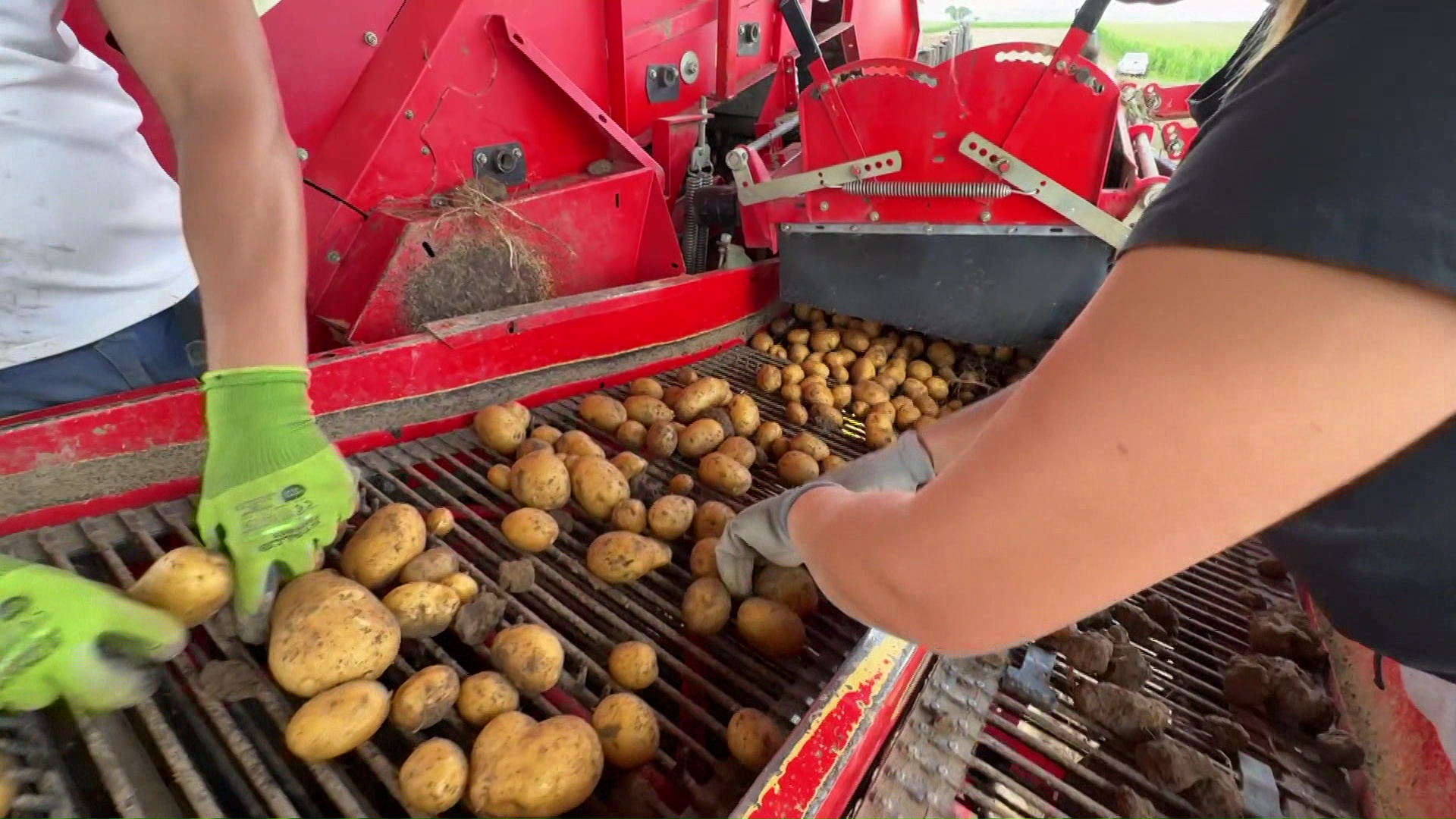 Miniature du reportage