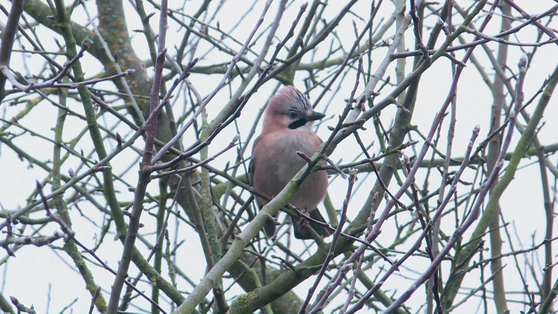 Miniature du reportage
